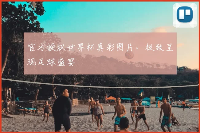官方授权世界杯真彩图片，极致呈现足球盛宴