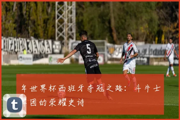 年世界杯西班牙夺冠之路：斗牛士军团的荣耀史诗