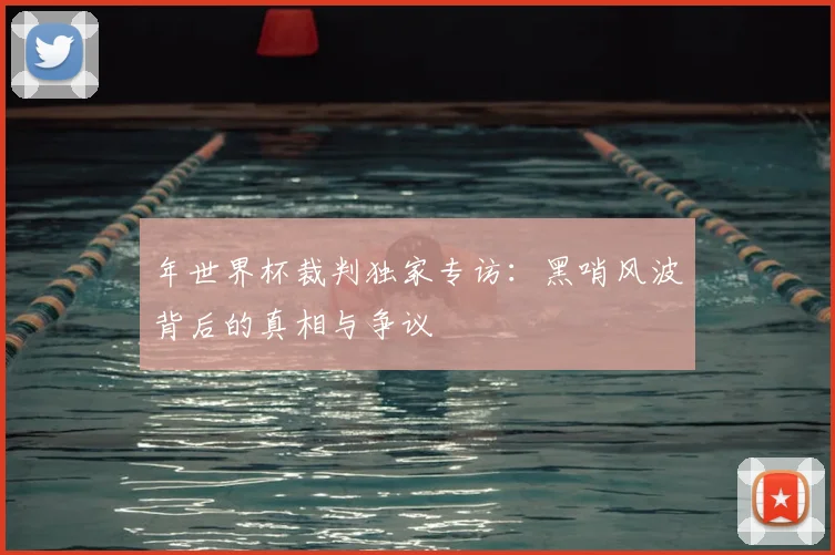 年世界杯裁判独家专访:黑哨风波背后的真相与争议